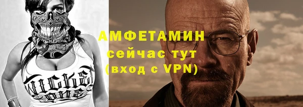 индика Аркадак