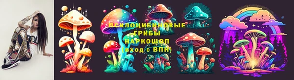 индика Аркадак