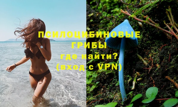 индика Балахна