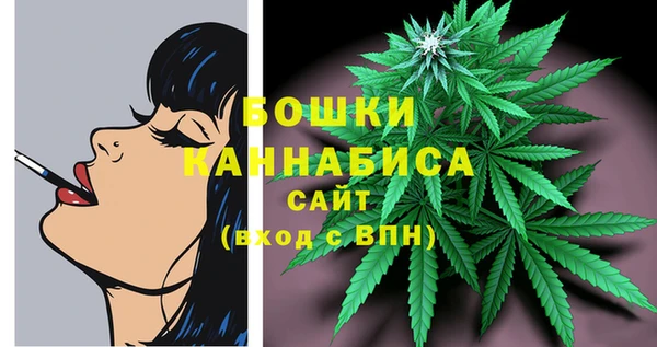 индика Балахна