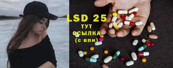 индика Балахна