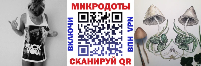 Галлюциногенные грибы Cubensis наркотики Ревда